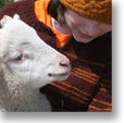 Yarn Company Site