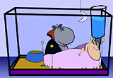Guinea Pig Theater - Dracula