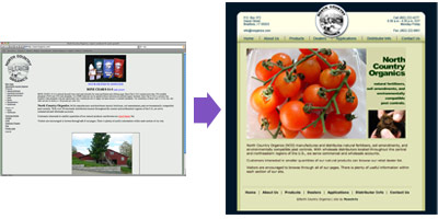 rehabsite Improve Old Sites
